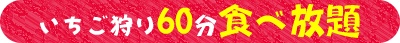 いちご狩り60分食べ放題